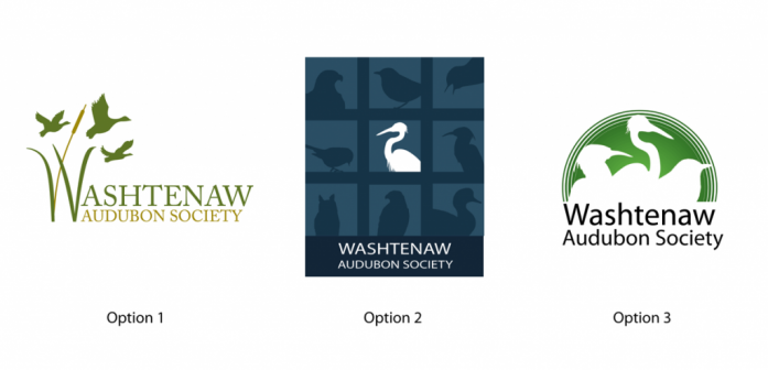 WashtenawAudubon logo options