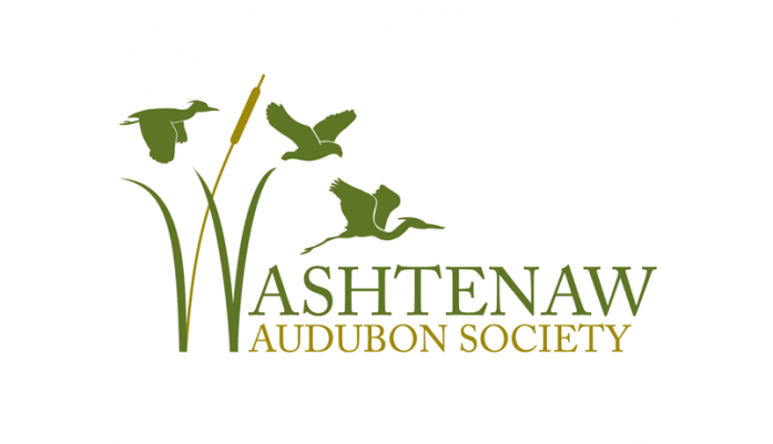 WashtenawAudubon final logo